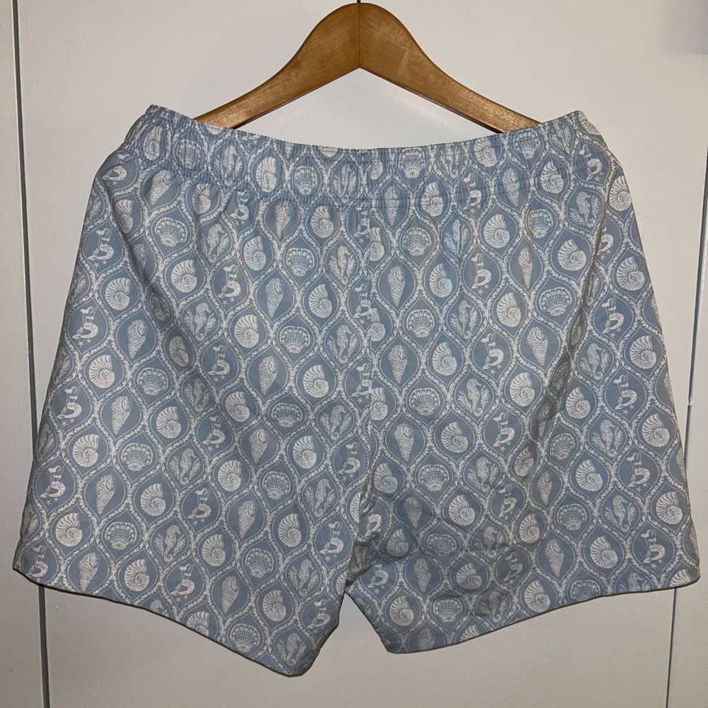 Hollister Blue and White Swim Shorts
